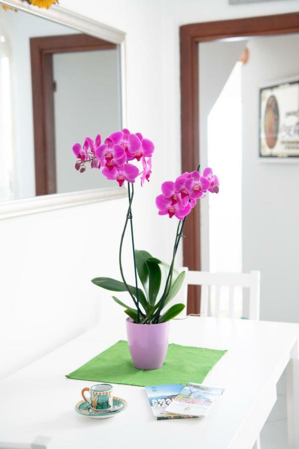 Blue Line House Positano Apartment Exterior photo